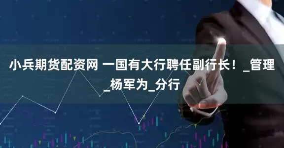 小兵期货配资网 一国有大行聘任副行长！_管理_杨军为_分行