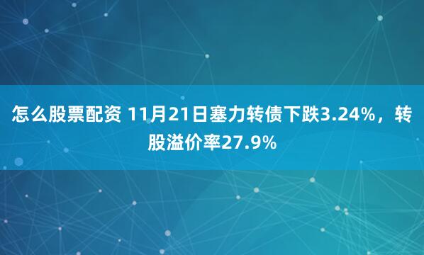怎么股票配资 11月21日塞力转债下跌3.24%，转股溢价率27.9%